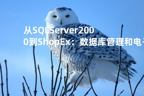 从 SQL Server 2000 到 ShopEx：数据库管理和电子商务解决方案的演变