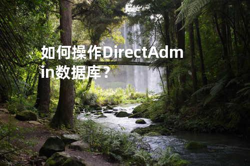 如何操作DirectAdmin数据库？