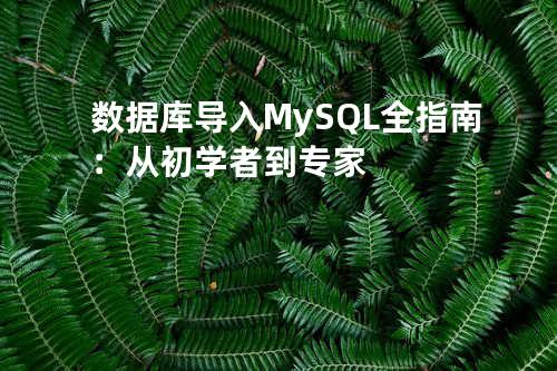 数据库导入 MySQL 全指南：从初学者到专家