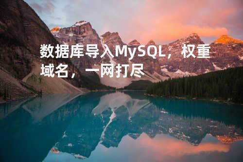 数据库导入 MySQL，权重域名，一网打尽