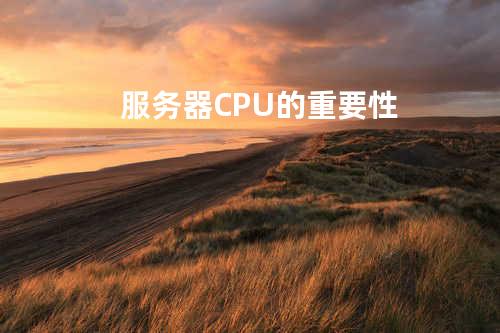 服务器CPU的重要性