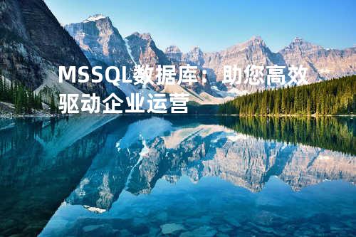 MSSQL数据库：助您高效驱动企业运营