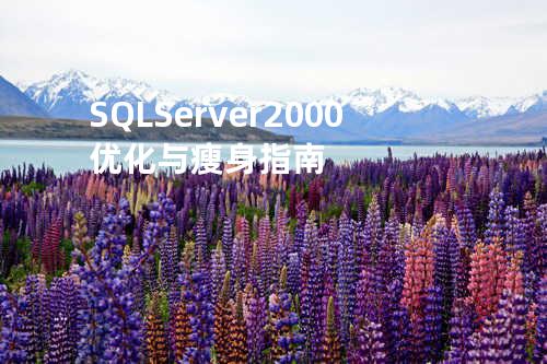 SQL Server 2000 优化与瘦身指南