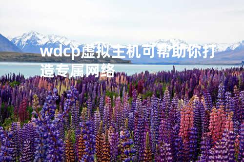 wdcp虚拟主机可帮助你打造专属网络